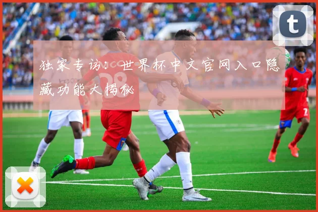 独家专访:世界杯中文官网入口隐藏功能大揭秘