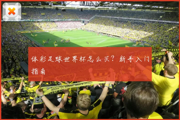 体彩足球世界杯怎么买？新手入门指南