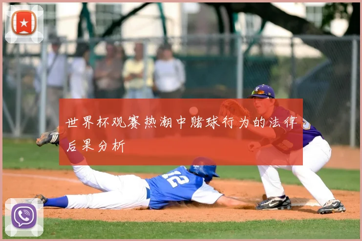 世界杯观赛热潮中赌球行为的法律后果分析