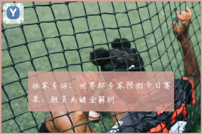 独家专访:世界杯专家预测今日赛果,胜负关键全解析