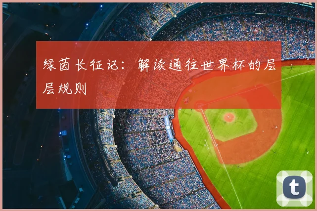 绿茵长征记：解读通往世界杯的层层规则
