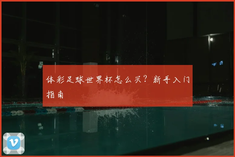 体彩足球世界杯怎么买？新手入门指南