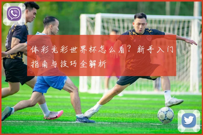 体彩竞彩世界杯怎么看？新手入门指南与技巧全解析