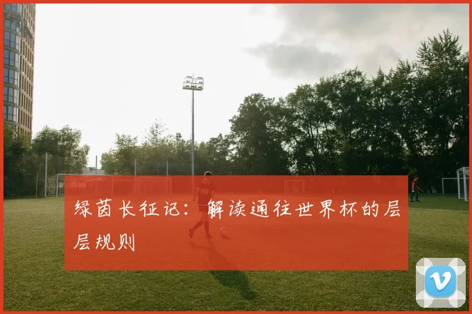 绿茵长征记：解读通往世界杯的层层规则