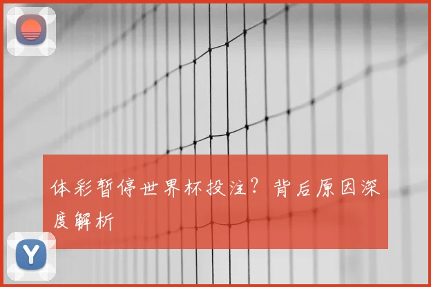 体彩暂停世界杯投注？背后原因深度解析