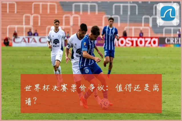 世界杯决赛票价争议：值得还是离谱？