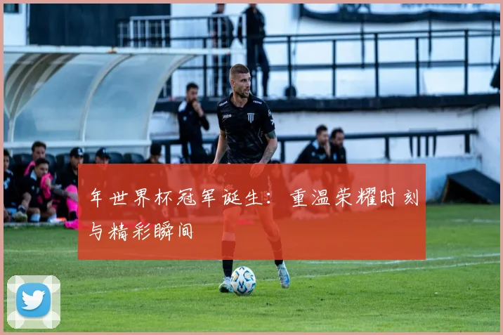 年世界杯冠军诞生：重温荣耀时刻与精彩瞬间