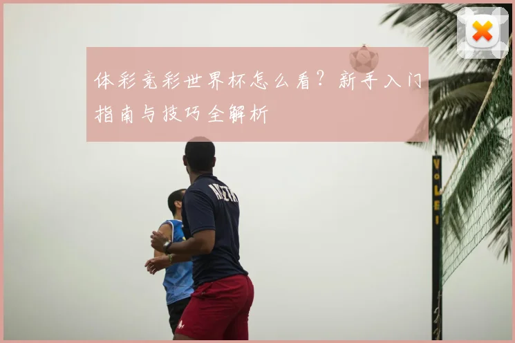 体彩竞彩世界杯怎么看？新手入门指南与技巧全解析
