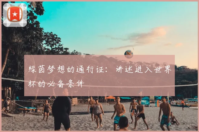 绿茵梦想的通行证：讲述进入世界杯的必备条件