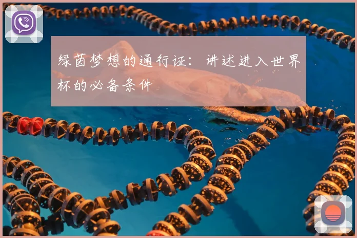 绿茵梦想的通行证：讲述进入世界杯的必备条件