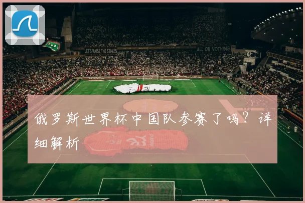 俄罗斯世界杯中国队参赛了吗？详细解析