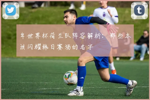 年世界杯荷兰队阵容解析:那些本该闪耀韩日赛场的名字