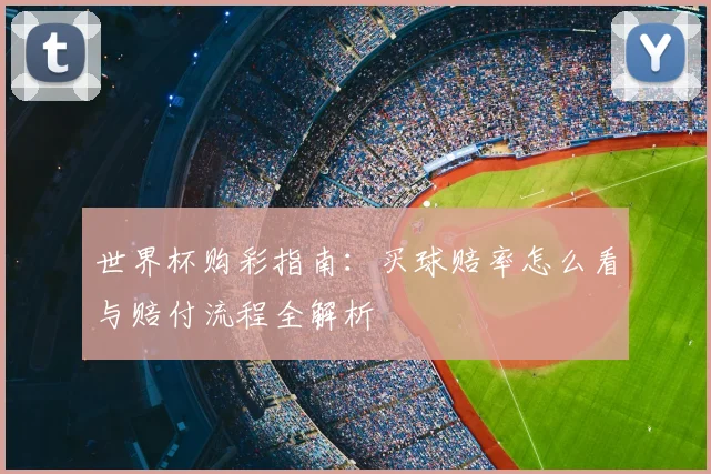 世界杯购彩指南：买球赔率怎么看与赔付流程全解析