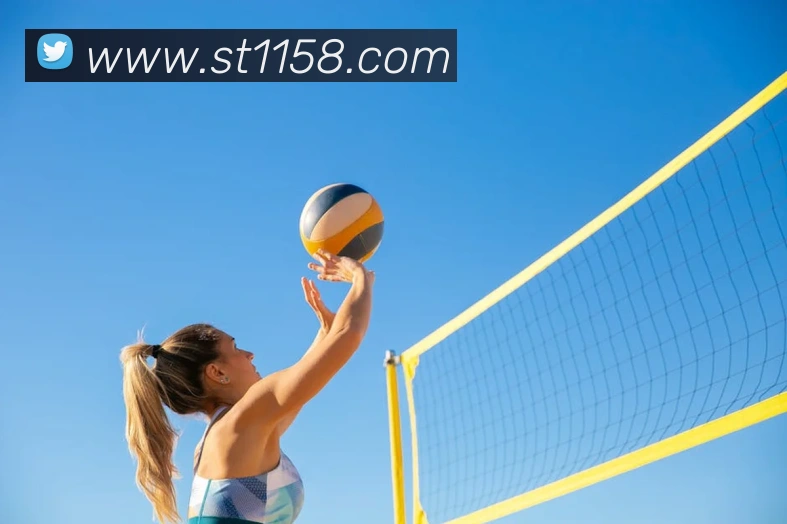 九游官网网页入口APP 封面图